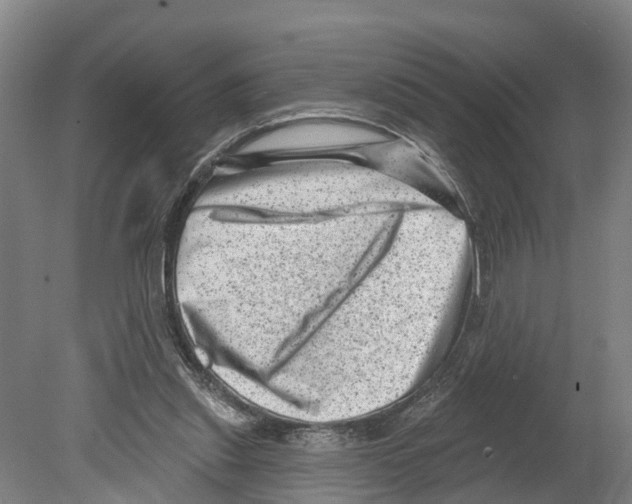 X0000080180253200701051704