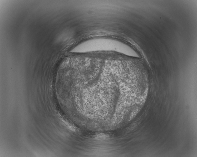 X0000080180257200701051704