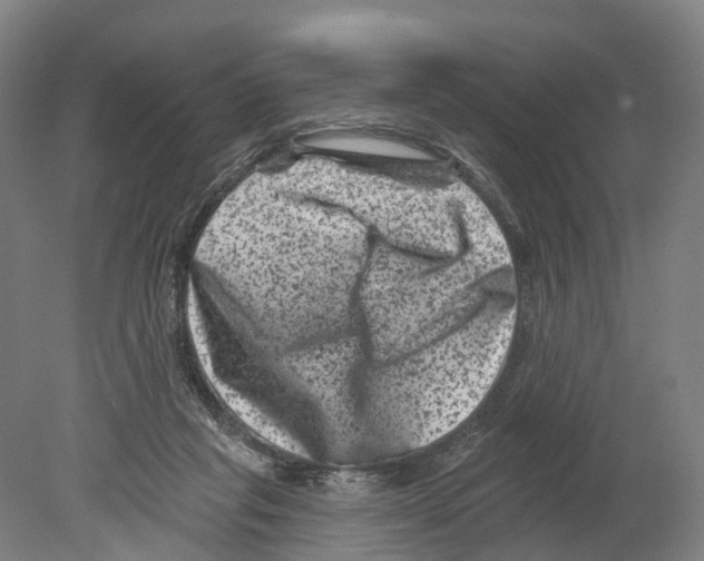 X0000080180261200701051704