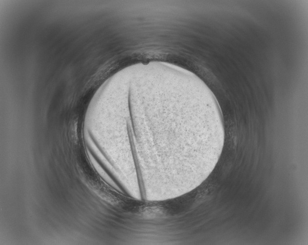 X0000080180262200701051705