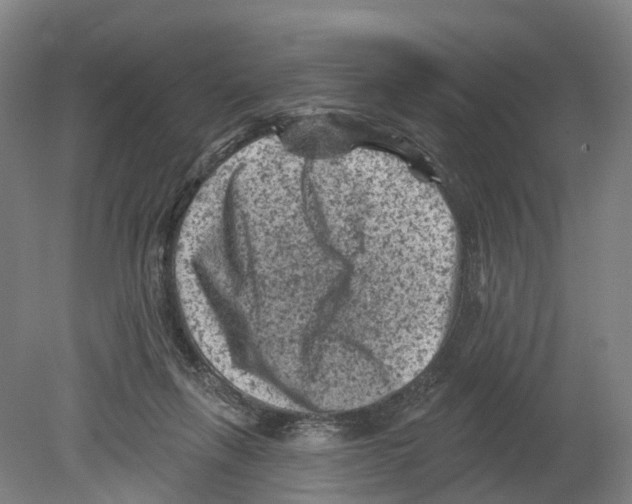 X0000080180263200701051705