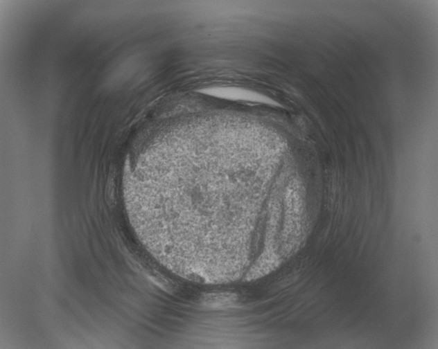 X0000080180266200701051705