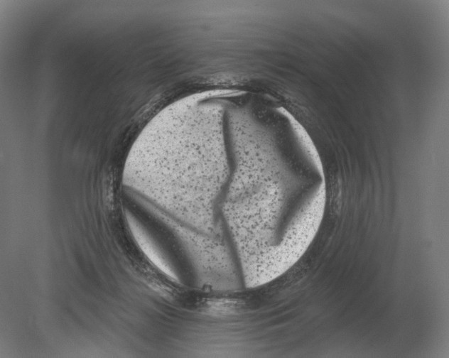 X0000080180268200701051705