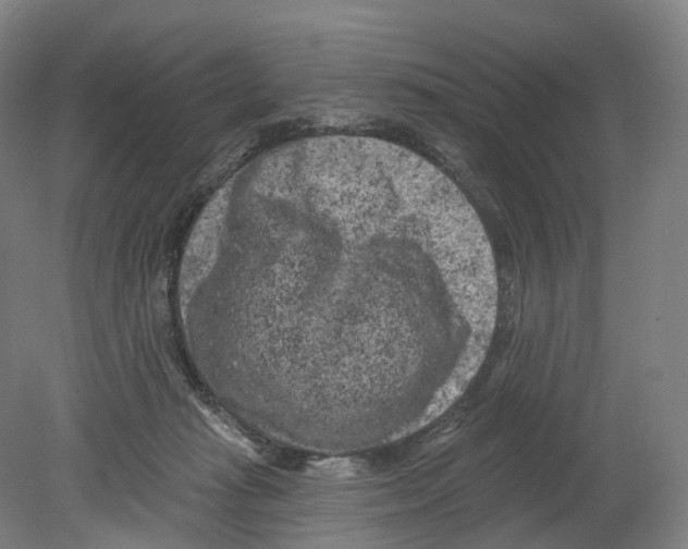 X0000080180269200701051705