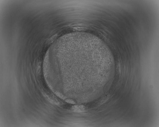 X0000080180271200701051705