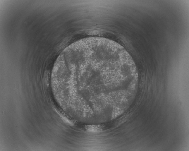 X0000080180273200701051705