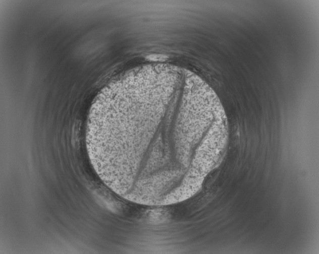 X0000080180275200701051705