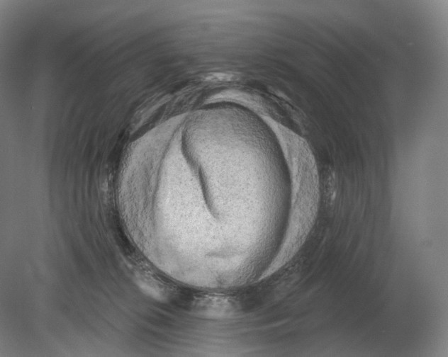 X0000080180276200701051705