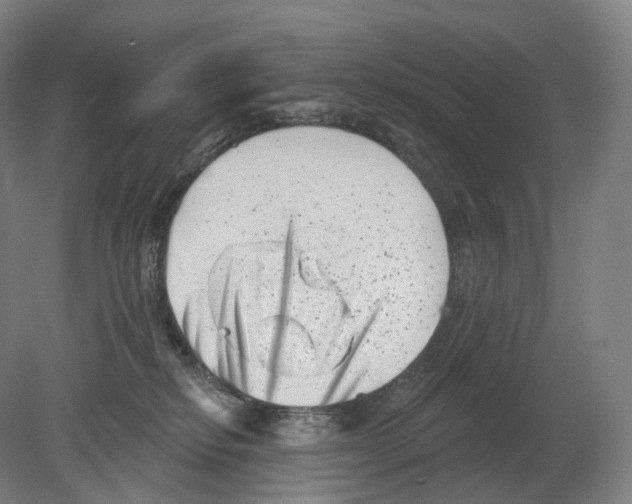 X0000080180278200701051705