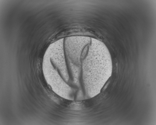 X0000080180280200701051705