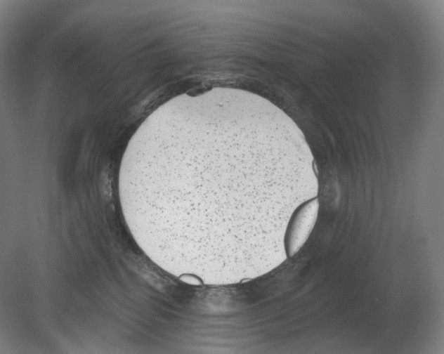 X0000080180282200701051705