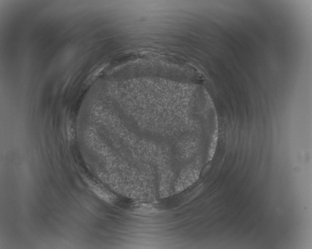 X0000080180285200701051705