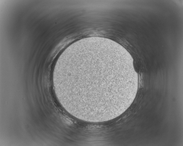 X0000080180291200701051704