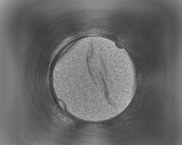 X0000080180292200701051704