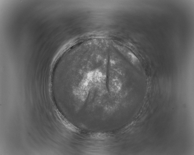 X0000080180293200701051704