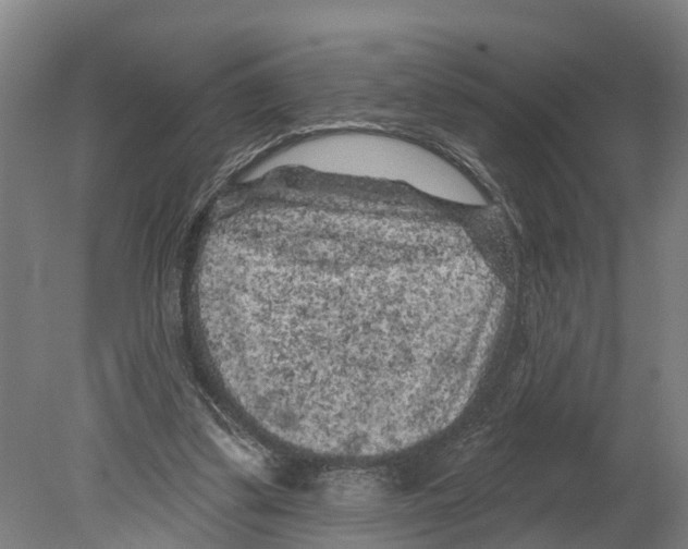 X0000080180299200701051704