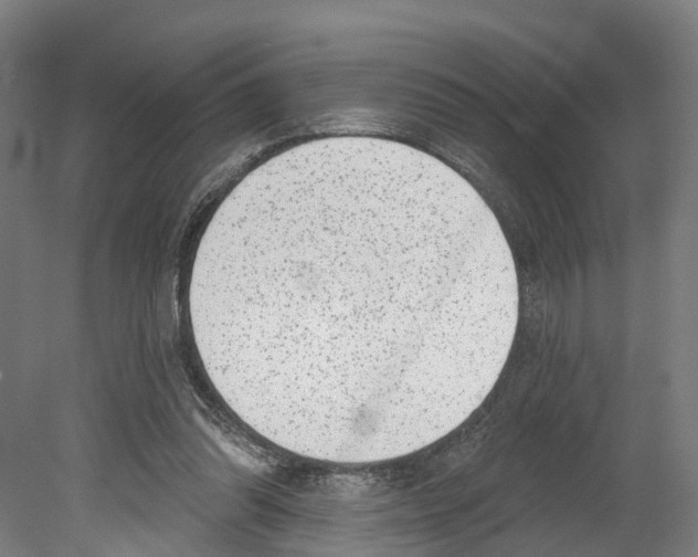 X0000080180302200701051704