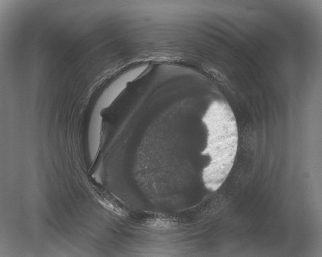 X0000080180303200701051704