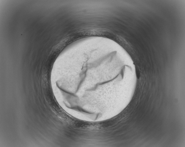 X0000080180306200701051704