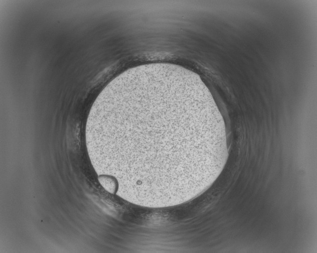 X0000080180308200701051704