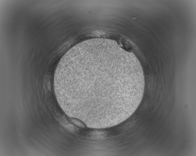 X0000080180313200701051704