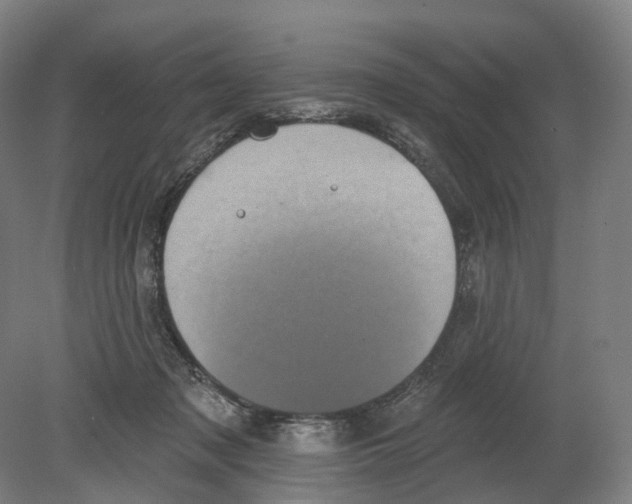 X0000080180317200701051704