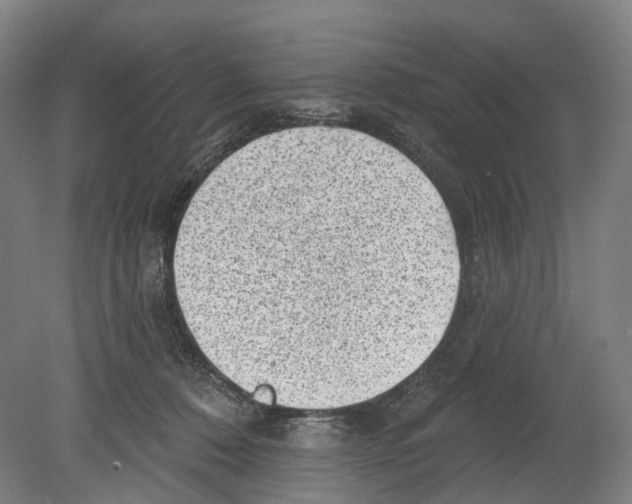 X0000080180320200701051704