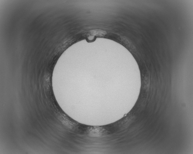 X0000080180321200701051704