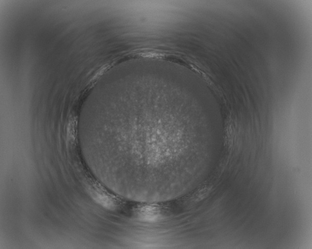 X0000080180325200701051704