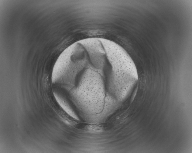 X0000080180327200701051703