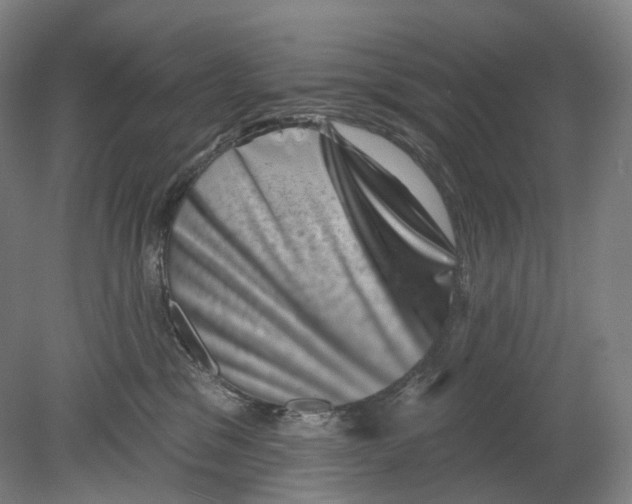 X0000080180329200701051703