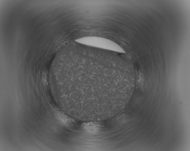 X0000080180331200701051703