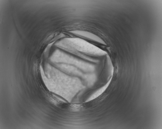 X0000080180333200701051703