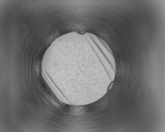 X0000080180334200701051703