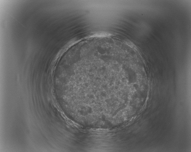 X0000080180337200701051703