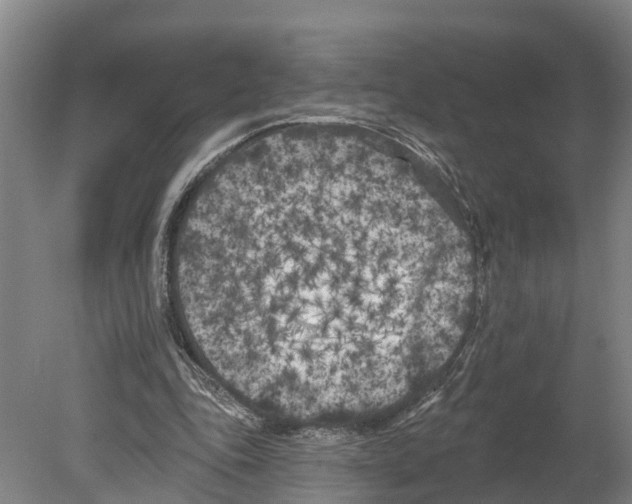 X0000080180343200701051703