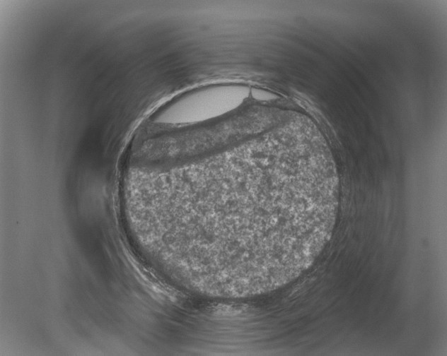 X0000080180346200701051703