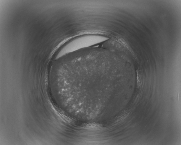 X0000080180348200701051703