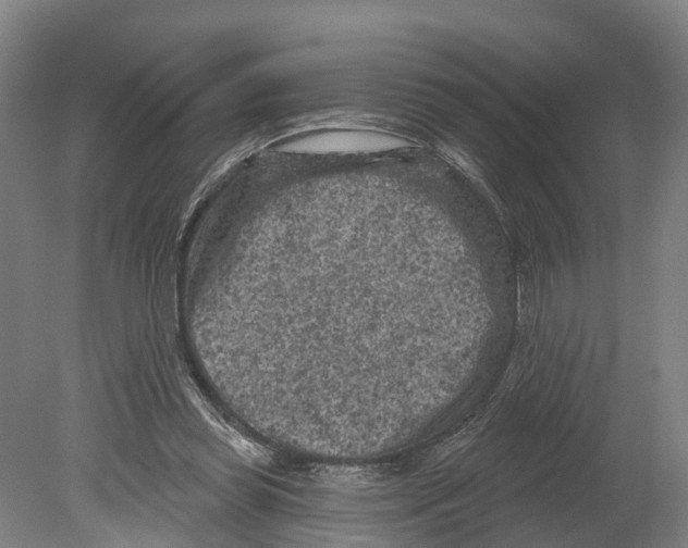 X0000080180349200701051703