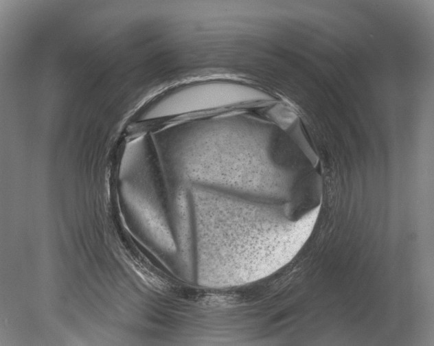 X0000080180350200701051703