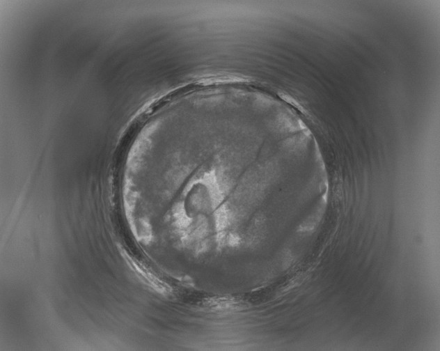 X0000080180351200701051703