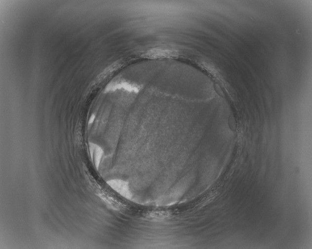 X0000080180353200701051703