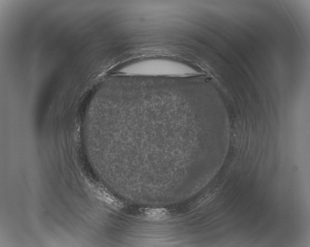 X0000080180355200701051703