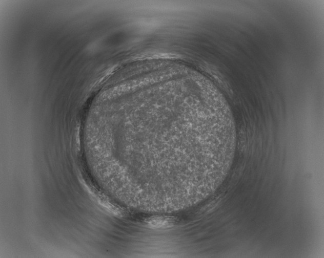 X0000080180358200701051703