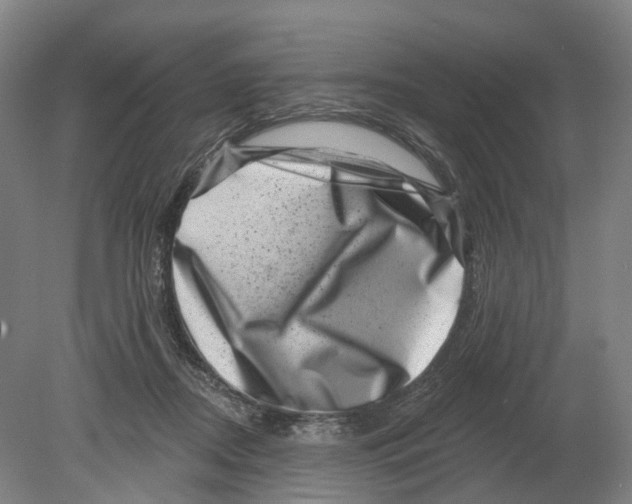 X0000080180362200701051703