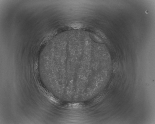 X0000080180365200701051703