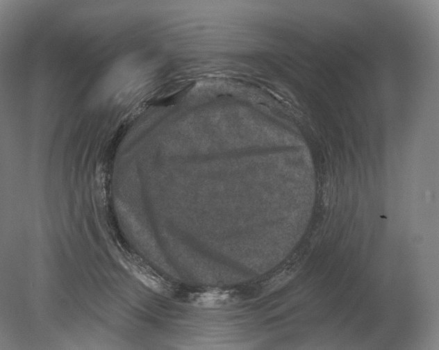 X0000080180366200701051703