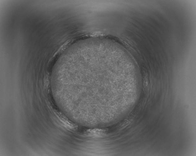 X0000080180367200701051703