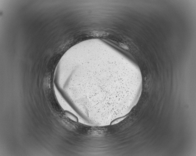 X0000080180368200701051703