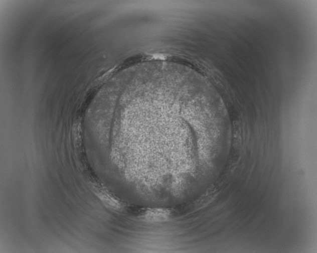 X0000080180369200701051703